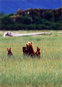 Mom and Company Photograph