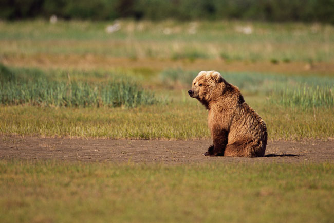 Waiting for Mr Right