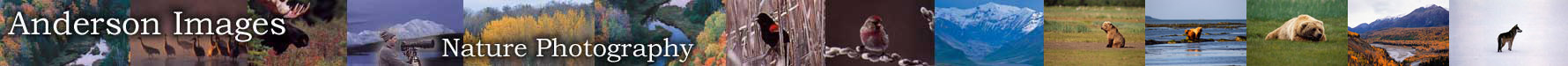 Anderson Images Nature Photography