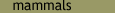 mammals