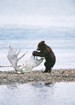 CLICK for info | Bear Cub with Antlers
