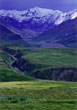CLICK for info | Lone Caribou