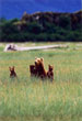 CLICK for info | Mom and Company