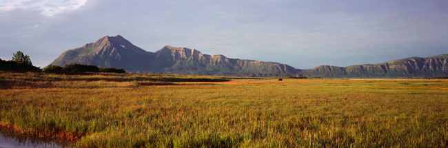 Fields of Gold panorama