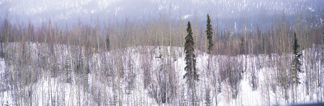 Shelter from the Storm panorama