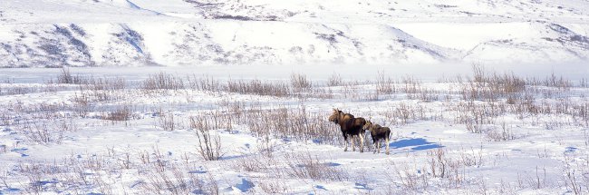 Stand By Me panorama