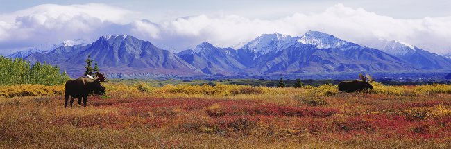 The Challenge panorama