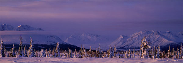 Winter Light panorama