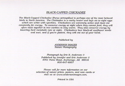 Back of Notecard Sample