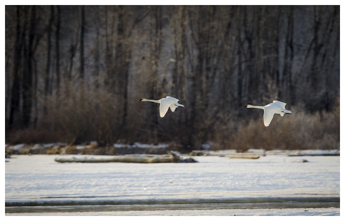 Notecard Heading South