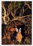 Notecard Snowshoe Hare