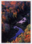 Notecard Carp River